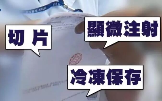 林志玲被曝欲做試管嬰兒,什么是一代和二代試管?