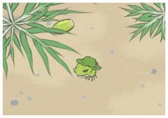 �������f��ȹ�Ӻ�����ʲô?����Ů��һ�����