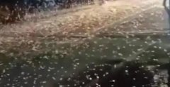 ������ꖴ��F(xi��n)�w�x����w��,�n�ʴ�����������B�l(f��)�F(xi��n)ʬ�w
