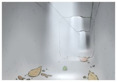 緬因貓因太胖被誤當猞猁送到保護站,官方回應合肥步行街現尸體