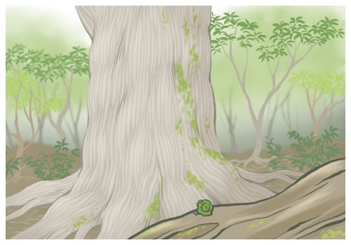 Ī����ǰ�����χ�(gu��)�������_��