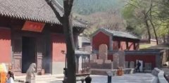 山東濟南靈巖寺回應不讓游客自帶香,劣質香傷害師父身體
