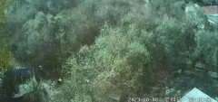 青海門源縣夜間天空亮如白晝,地震局回復(fù)沒(méi)科學(xué)依據(jù)