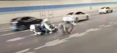 鄭州鴕鳥出逃大結局,鴕鳥出逃事件主人現身致歉